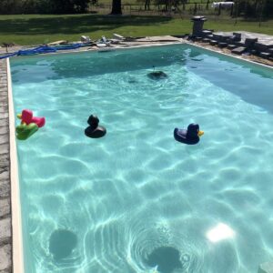 IMG_0667